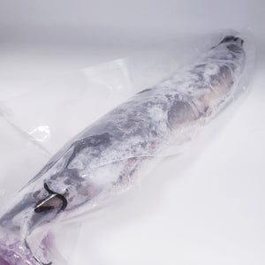 Frozen Catfish - single piece